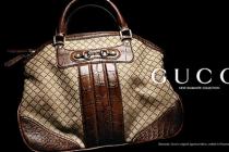 ��è��ŵ����ð���ݳ�Ʒ Gucci�������й���������