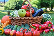 深圳网购食品索赔律师实务专题 深圳网购食品索赔律师实务专题